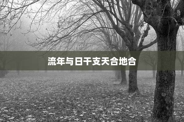 流年与日干支天合地合