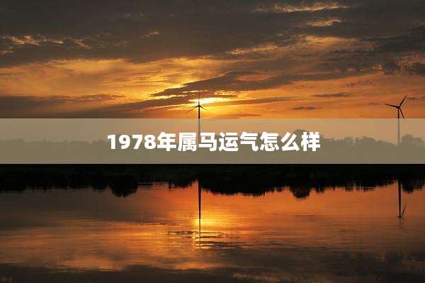 1978年属马运气怎么样