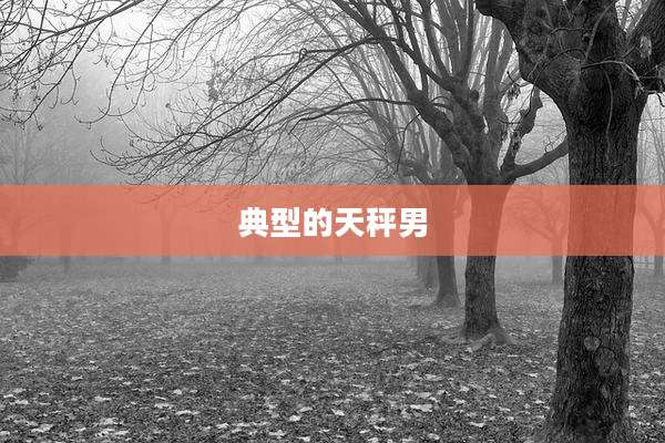 典型的天秤男