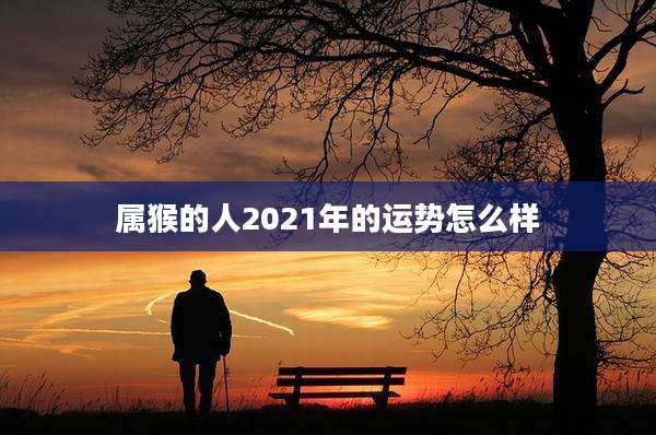 属猴的人2021年的运势怎么样
