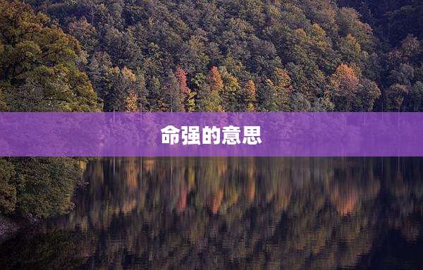 命强的意思