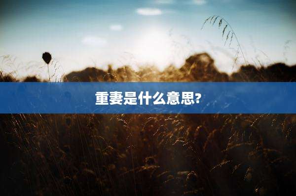 重妻是什么意思?