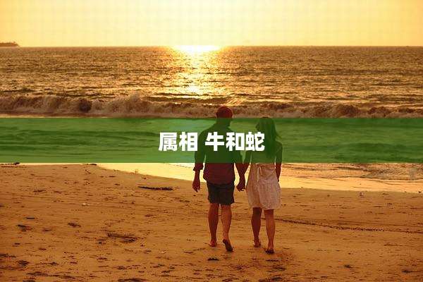属相 牛和蛇