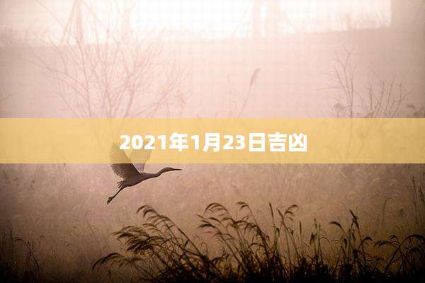 2021年1月23日吉凶