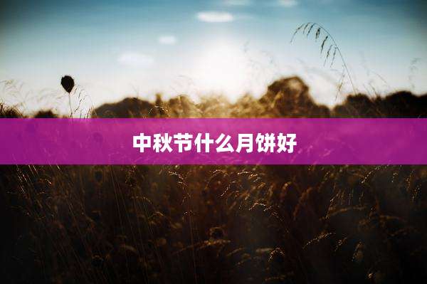 中秋节什么月饼好
