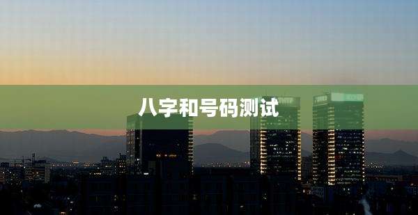 八字和号码测试