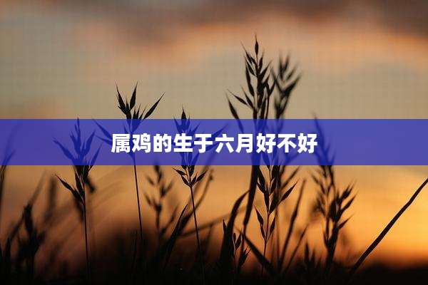 属鸡的生于六月好不好