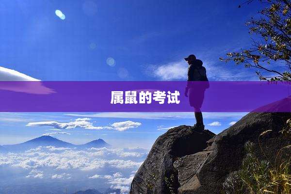 属鼠的考试
