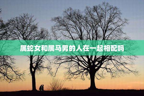 属蛇女和属马男的人在一起相配吗