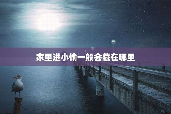 家里进小偷一般会藏在哪里