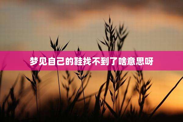 梦见自己的鞋找不到了啥意思呀