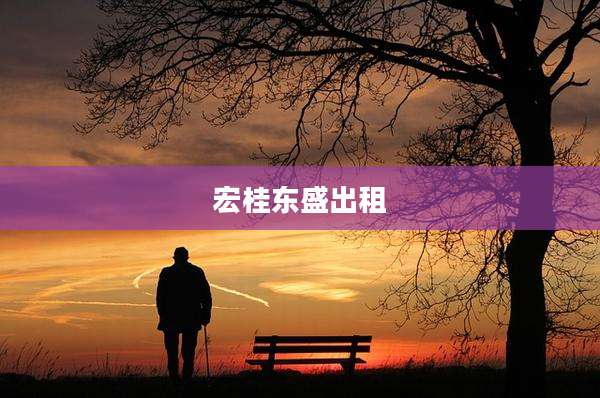 宏桂东盛出租