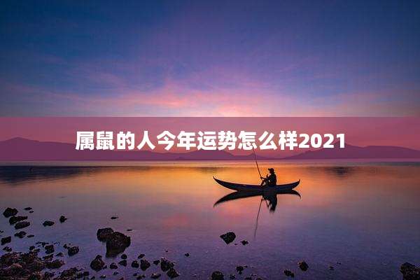 属鼠的人今年运势怎么样2021