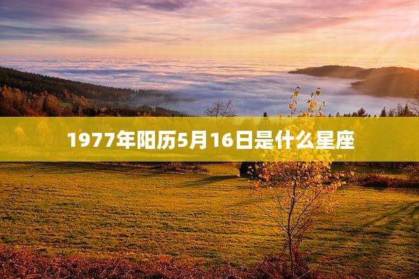 1977年阳历5月16日是什么星座
