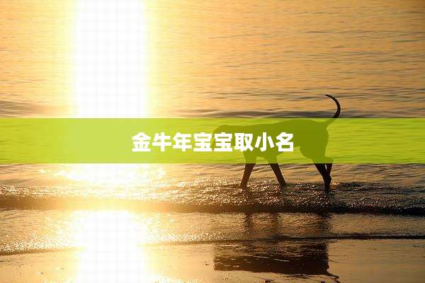 金牛年宝宝取小名