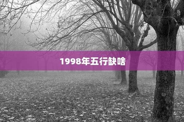 1998年五行缺啥
