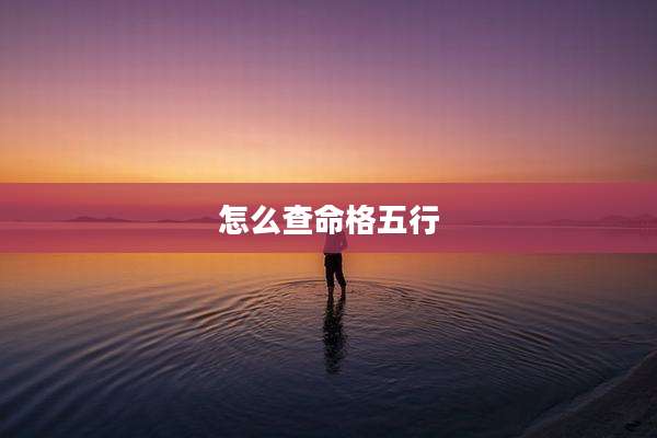 怎么查命格五行