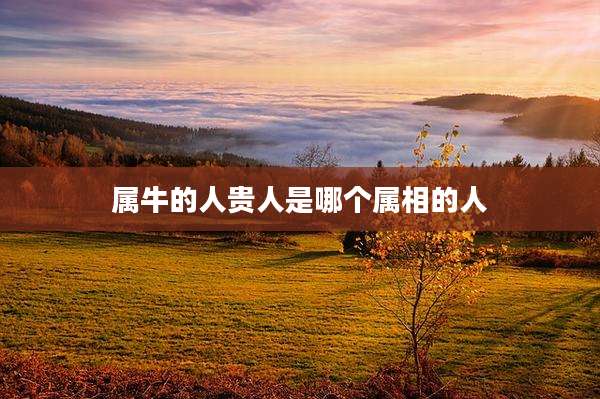 属牛的人贵人是哪个属相的人