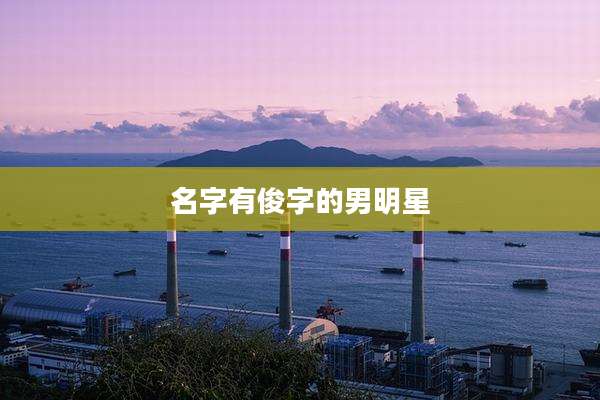 名字有俊字的男明星