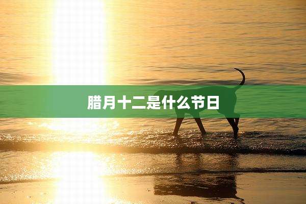 腊月十二是什么节日