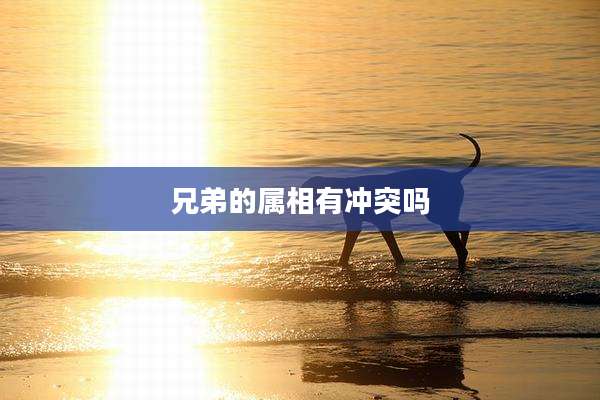 兄弟的属相有冲突吗