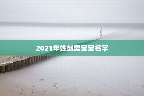 2021年姓赵男宝宝名字