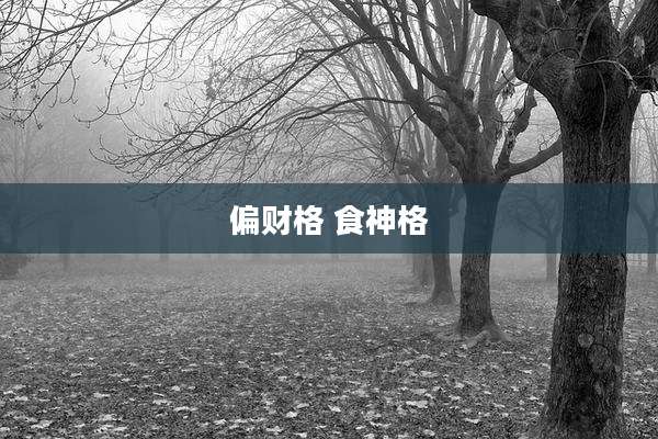 偏财格 食神格