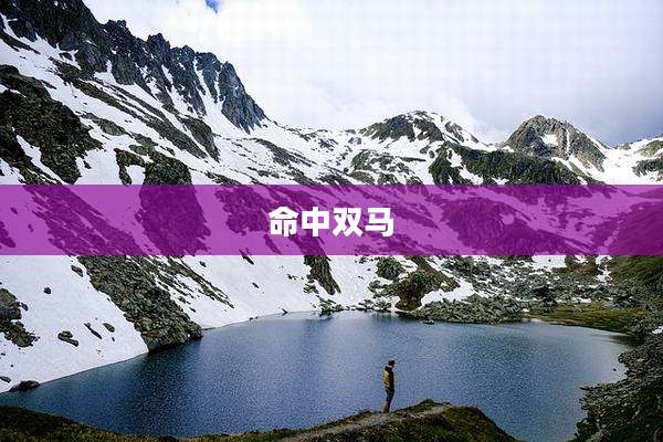 命中双马