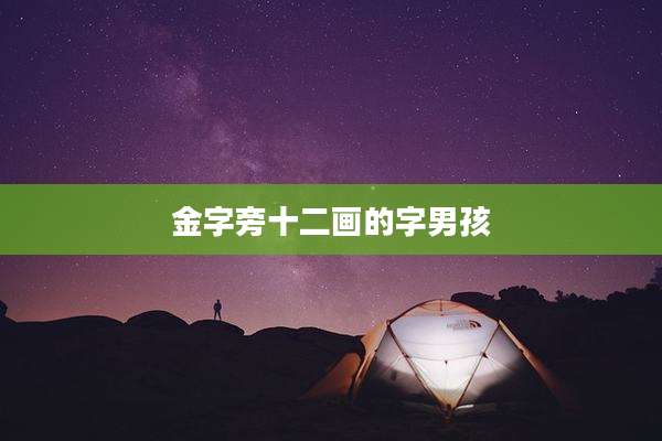 金字旁十二画的字男孩