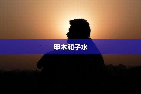 甲木和子水