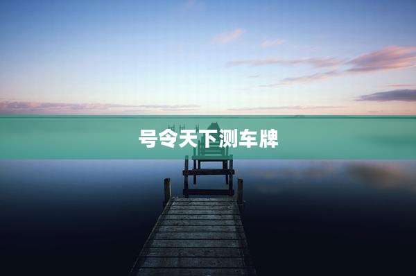 号令天下测车牌
