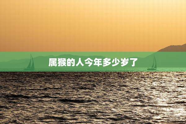 属猴的人今年多少岁了