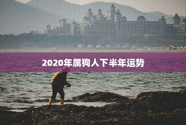 2020年属狗人下半年运势
