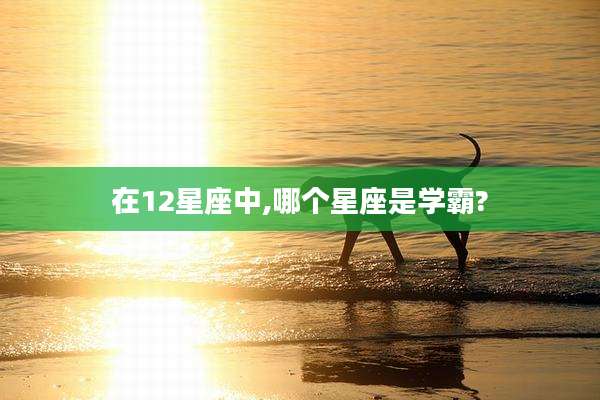 在12星座中,哪个星座是学霸?