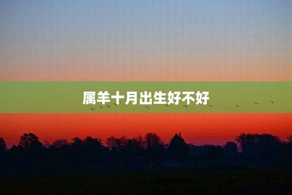 属羊十月出生好不好