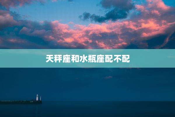 天秤座和水瓶座配不配