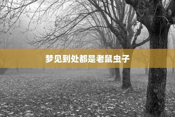 梦见到处都是老鼠虫子