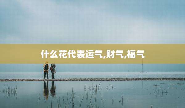 什么花代表运气,财气,福气