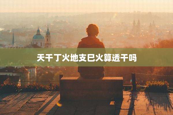 天干丁火地支巳火算透干吗