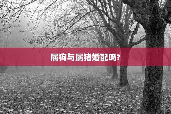 属狗与属猪婚配吗?