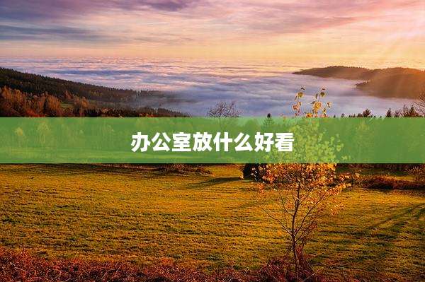 办公室放什么好看