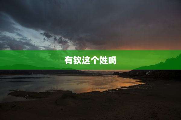 有钦这个姓吗