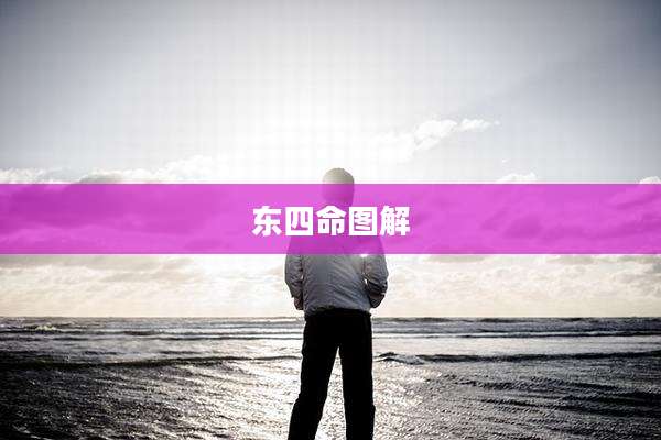 东四命图解