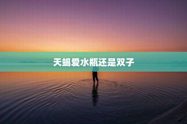 天蝎爱水瓶还是双子