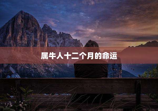 属牛人十二个月的命运