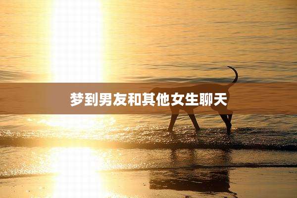 梦到男友和其他女生聊天