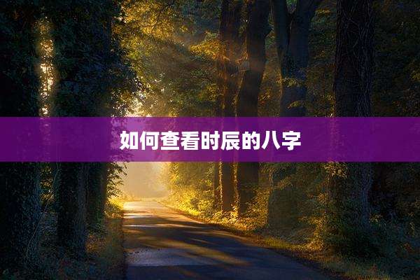 如何查看时辰的八字