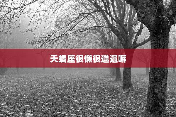 天蝎座很懒很邋遢嘛