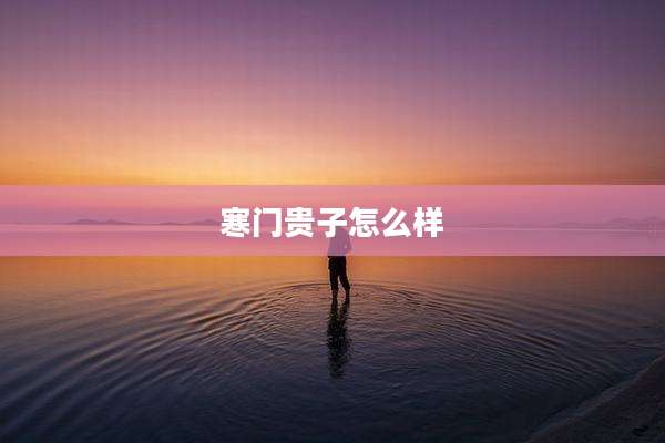 寒门贵子怎么样