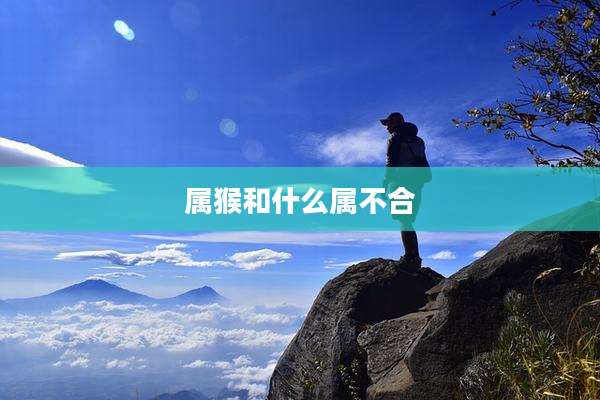 属猴和什么属不合